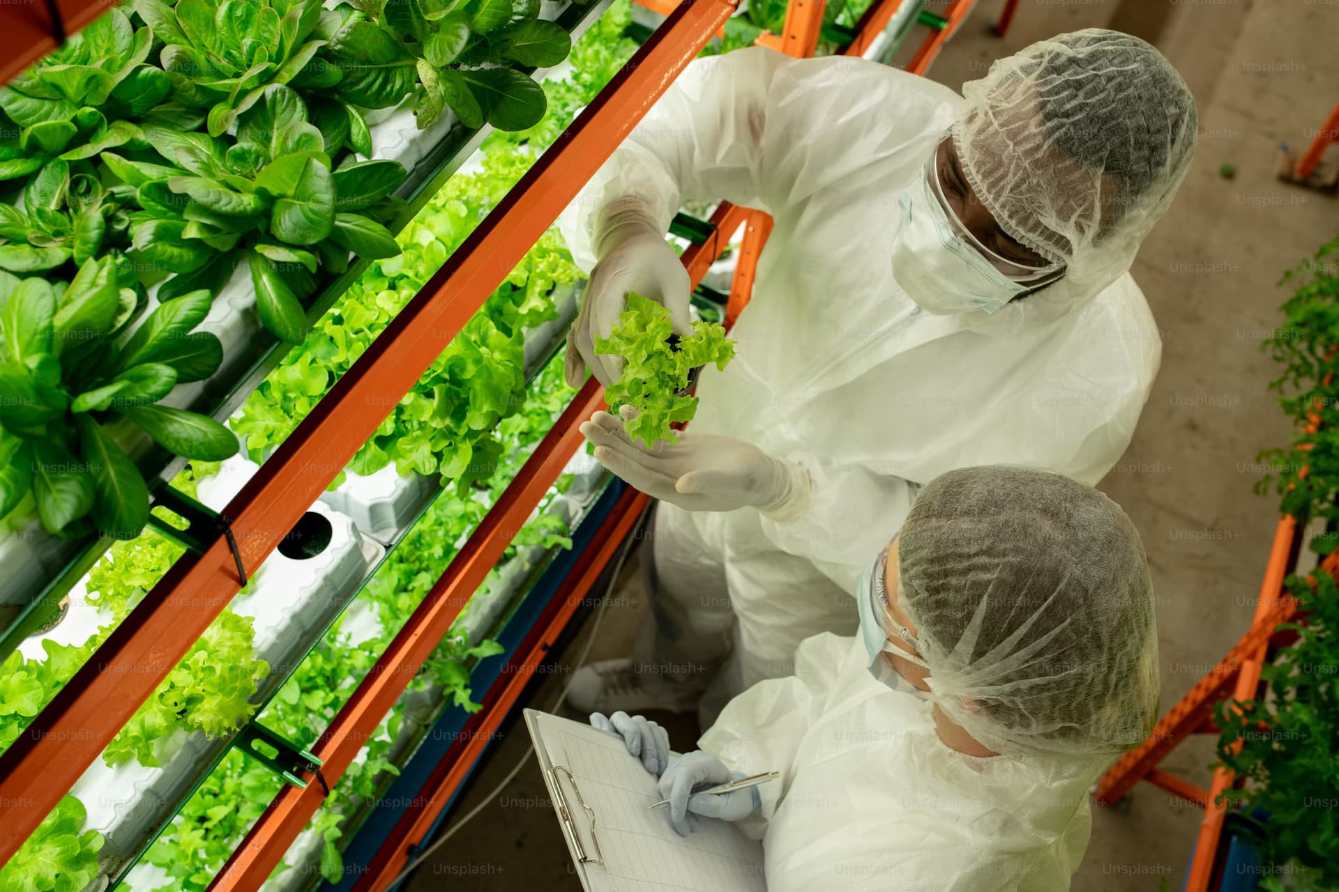 Sustainable Agriculture for a Greener Future